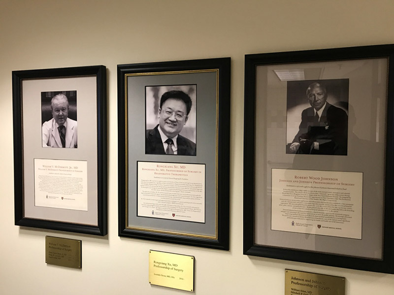 zoty��ŷ��(�й����޹�˾)�ٷ���վ