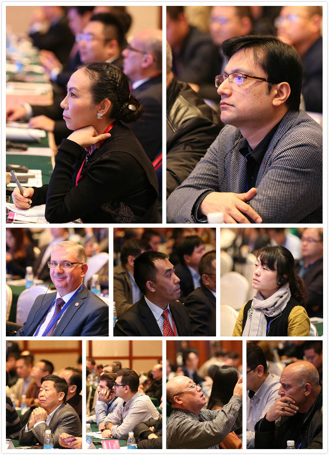 zoty��ŷ��(�й����޹�˾)�ٷ���վ