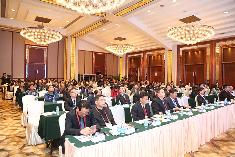 zoty��ŷ��(�й����޹�˾)�ٷ���վ