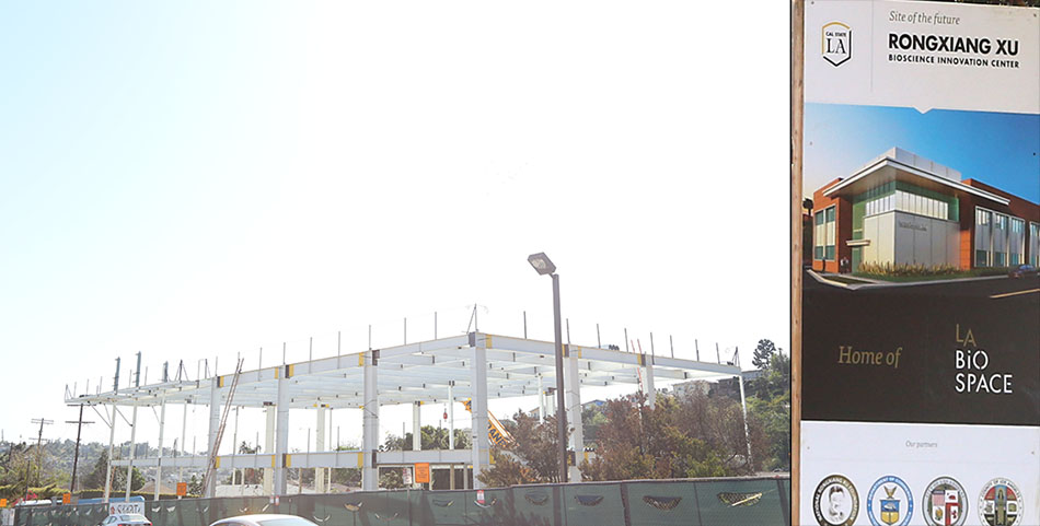 zoty��ŷ��(�й����޹�˾)�ٷ���վ