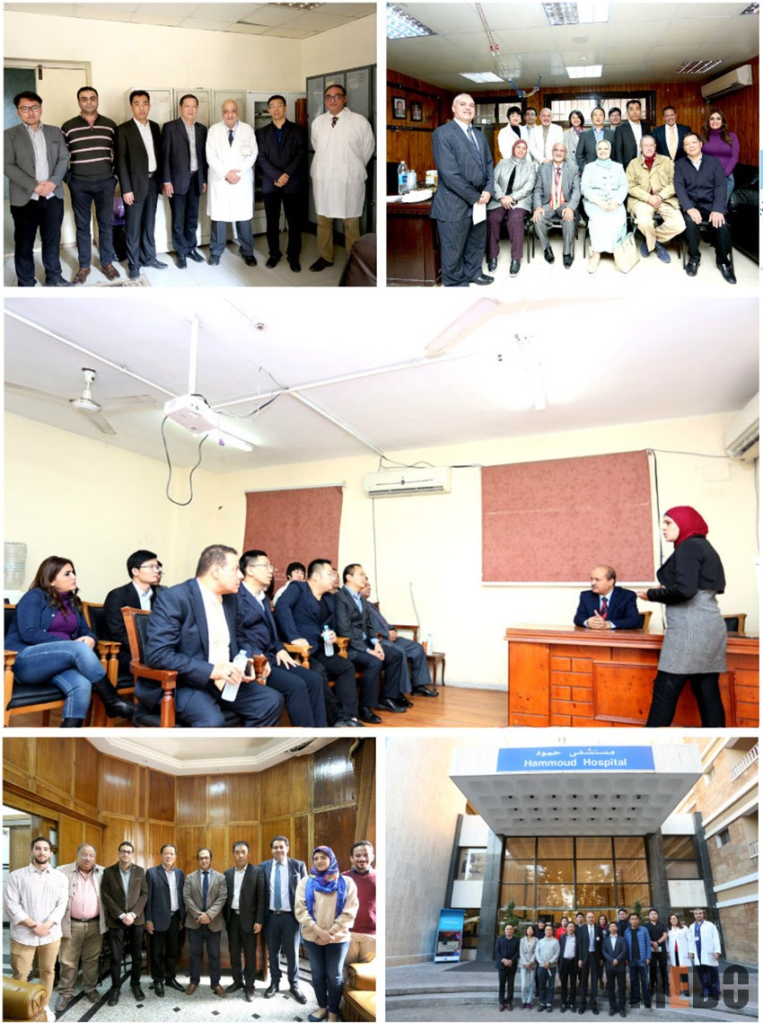 zoty��ŷ��(�й����޹�˾)�ٷ���վ