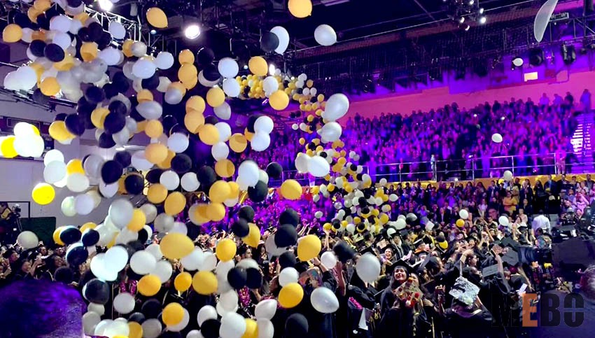 zoty��ŷ��(�й����޹�˾)�ٷ���վ