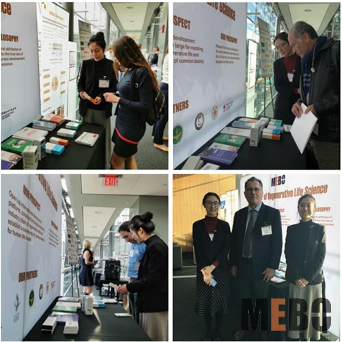 zoty��ŷ��(�й����޹�˾)�ٷ���վ