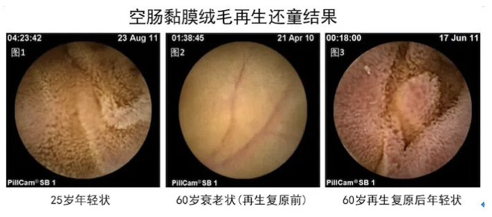 zoty��ŷ��(�й����޹�˾)�ٷ���վ