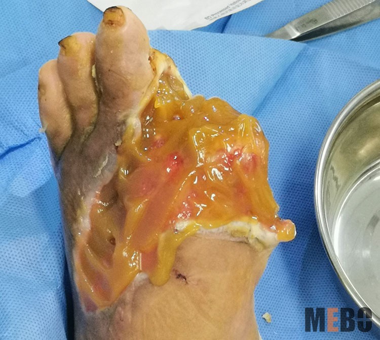 zoty��ŷ��(�й����޹�˾)�ٷ���վ