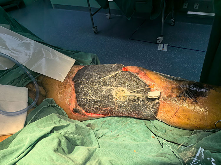 zoty��ŷ��(�й����޹�˾)�ٷ���վ