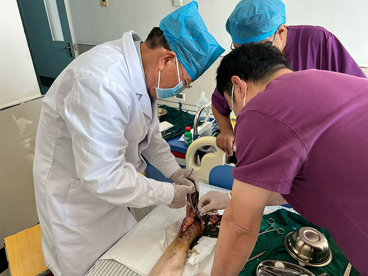 zoty��ŷ��(�й����޹�˾)�ٷ���վ