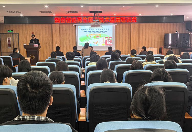 zoty��ŷ��(�й����޹�˾)�ٷ���վ