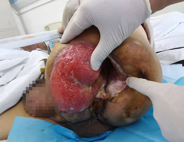 zoty中欧·(中国有限公司)官方网站