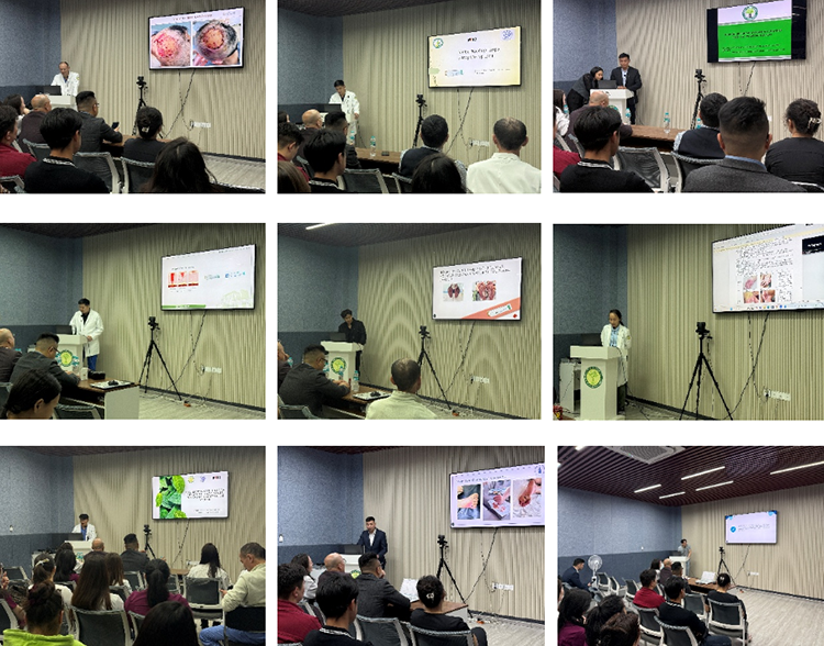 zoty中欧·(中国有限公司)官方网站