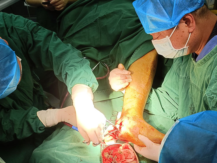 zoty中欧·(中国有限公司)官方网站