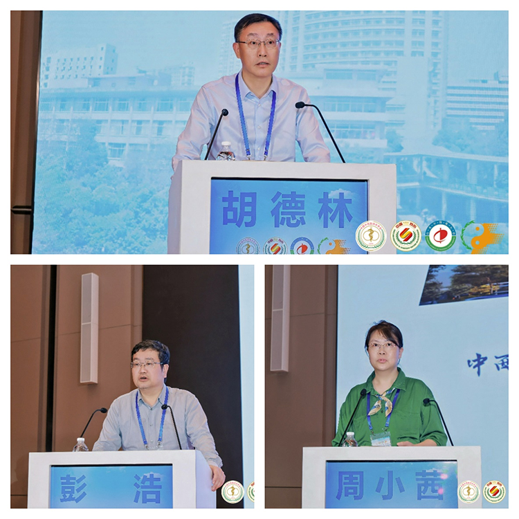 zoty中欧·(中国有限公司)官方网站