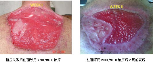 zoty��ŷ��(�й����޹�˾)�ٷ���վ