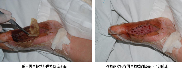 zoty��ŷ��(�й����޹�˾)�ٷ���վ