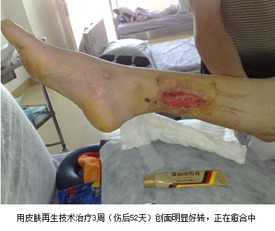 zoty��ŷ��(�й����޹�˾)�ٷ���վ