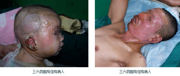 zoty��ŷ��(�й����޹�˾)�ٷ���վ