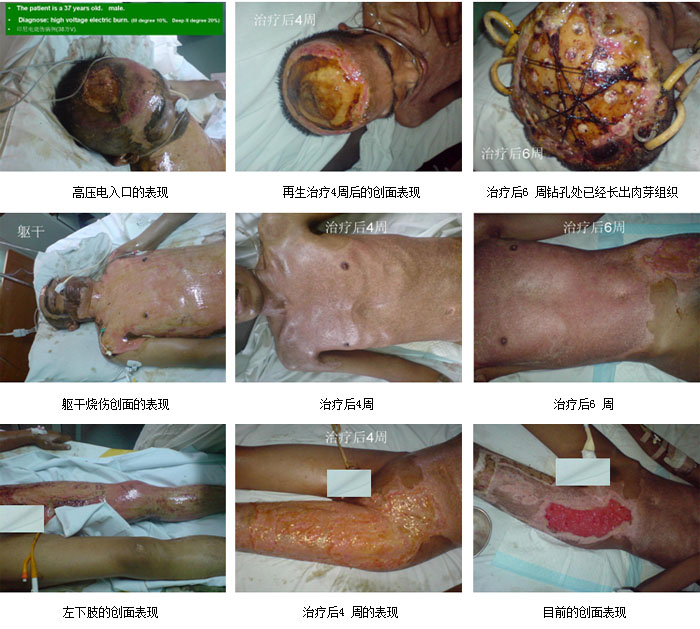 zoty��ŷ��(�й����޹�˾)�ٷ���վ