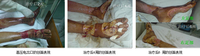 zoty��ŷ��(�й����޹�˾)�ٷ���վ