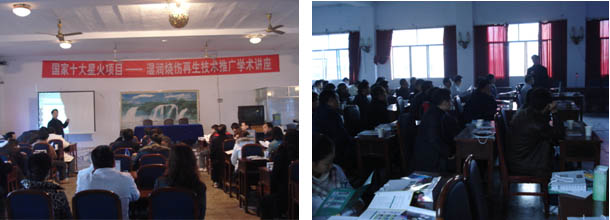 zoty中欧·(中国有限公司)官方网站