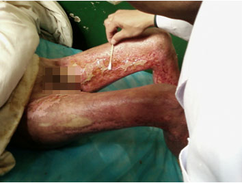 zoty��ŷ��(�й����޹�˾)�ٷ���վ