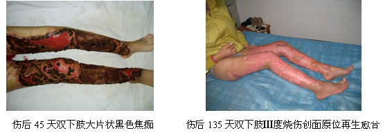 zoty��ŷ��(�й����޹�˾)�ٷ���վ