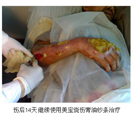 zoty��ŷ��(�й����޹�˾)�ٷ���վ