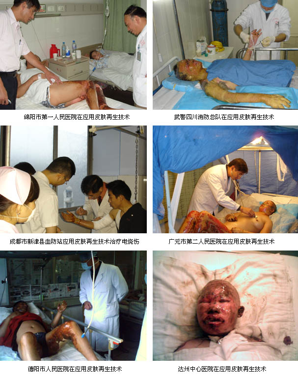 zoty��ŷ��(�й����޹�˾)�ٷ���վ