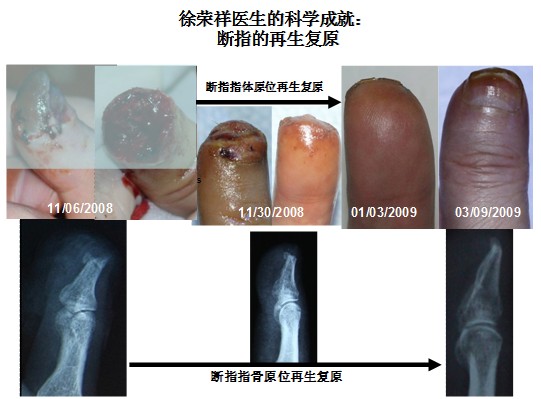 zoty��ŷ��(�й����޹�˾)�ٷ���վ