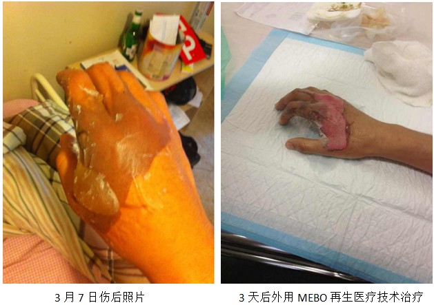 zoty��ŷ��(�й����޹�˾)�ٷ���վ