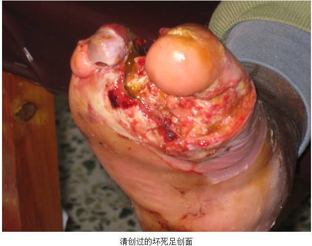 zoty��ŷ��(�й����޹�˾)�ٷ���վ