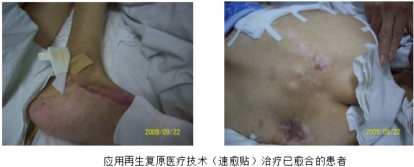 zoty中欧·(中国有限公司)官方网站