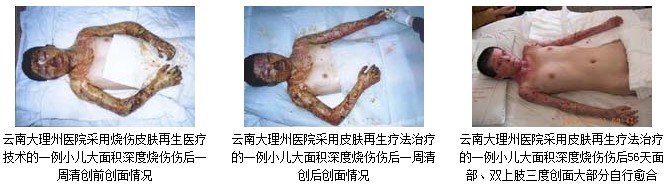zoty中欧·(中国有限公司)官方网站
