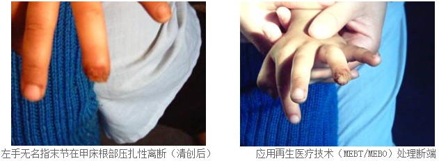 zoty中欧·(中国有限公司)官方网站