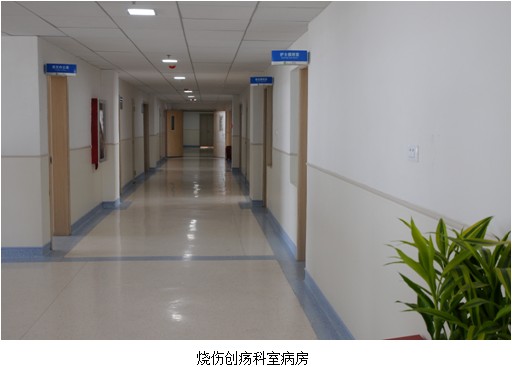 zoty��ŷ��(�й����޹�˾)�ٷ���վ