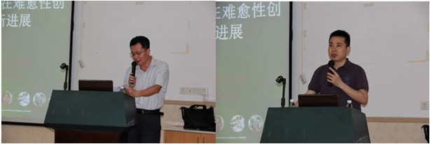 zoty��ŷ��(�й����޹�˾)�ٷ���վ