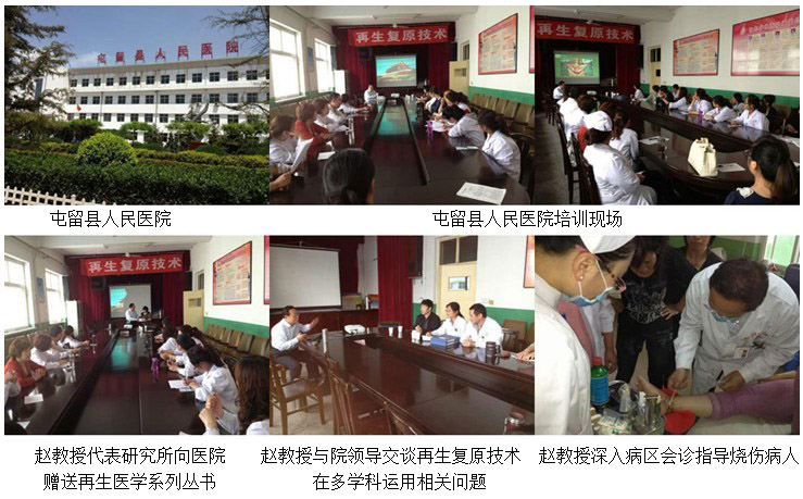 zoty��ŷ��(�й����޹�˾)�ٷ���վ