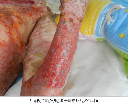 zoty��ŷ��(�й����޹�˾)�ٷ���վ