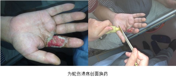 zoty��ŷ��(�й����޹�˾)�ٷ���վ