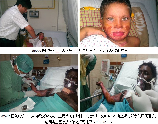 zoty��ŷ��(�й����޹�˾)�ٷ���վ