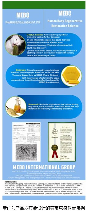 zoty��ŷ��(�й����޹�˾)�ٷ���վ