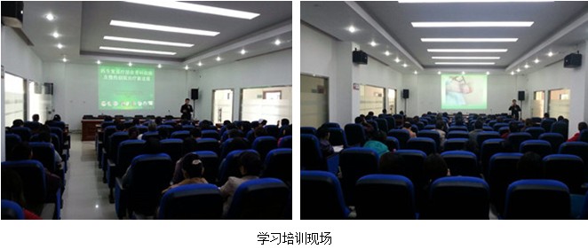 zoty��ŷ��(�й����޹�˾)�ٷ���վ