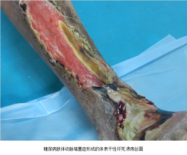 zoty��ŷ��(�й����޹�˾)�ٷ���վ