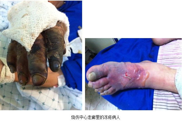 zoty��ŷ��(�й����޹�˾)�ٷ���վ