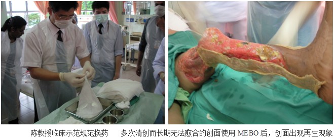 zoty��ŷ��(�й����޹�˾)�ٷ���վ