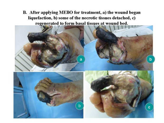 zoty��ŷ��(�й����޹�˾)�ٷ���վ