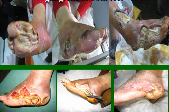 zoty��ŷ��(�й����޹�˾)�ٷ���վ