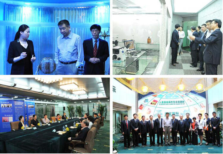 zoty��ŷ��(�й����޹�˾)�ٷ���վ